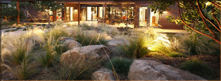 landscape design