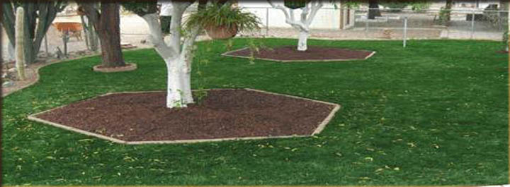 Lawn Care Las Vegas 